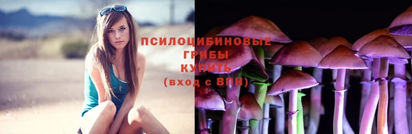 тгк Сатка