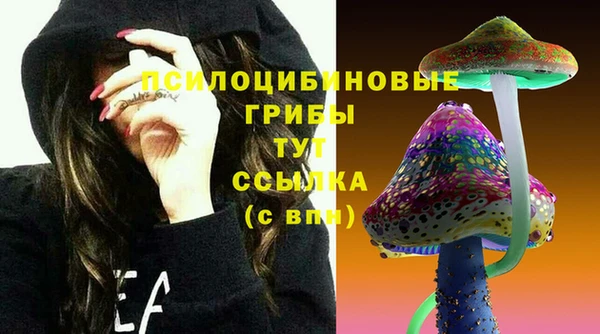 ешки Абдулино