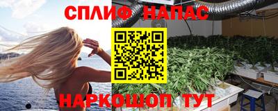 СК Канаш