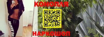 СК Канаш