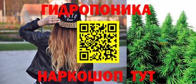 дмт Кандалакша
