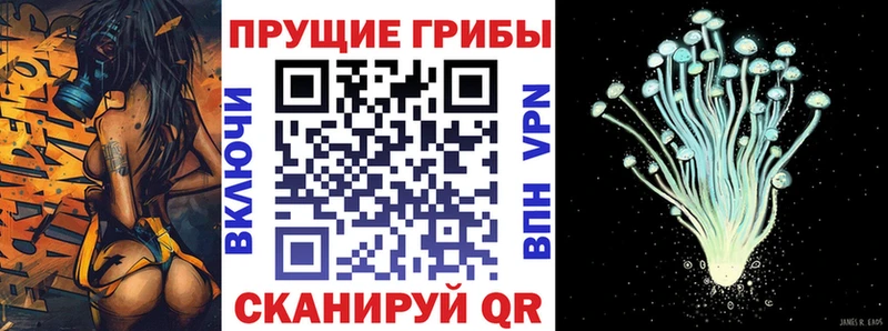 что такое   дарк нет как зайти  Псилоцибиновые грибы Psilocybe  Кумертау 